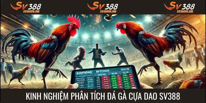 Nắm bắt kinh nghiệm đảm bảo bạn đánh giá đúng thực lực gà chiếnNắm bắt kinh nghiệm đảm bảo bạn đánh giá đúng thực lực gà chiến