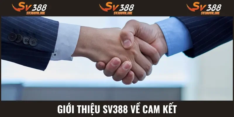 Nhà cái luôn có những cam kết minh bạch với người chơi