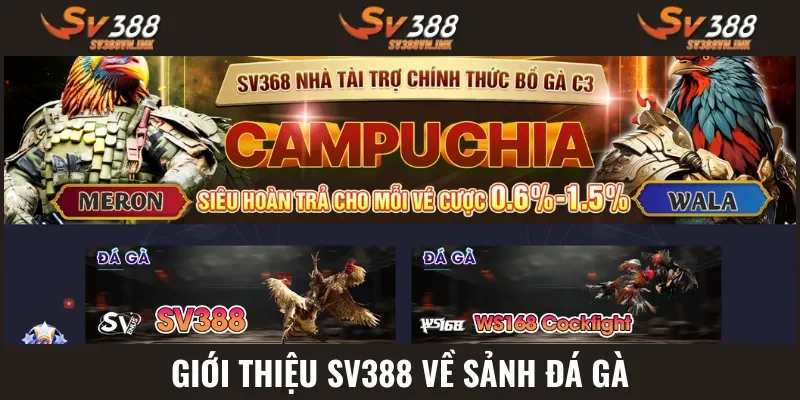 Đá gà nhiều tinh hoa hội tụ