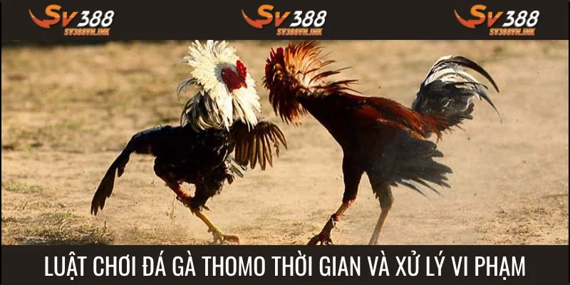 Những điều cần nắm vững về thời gian và xử lý vi phạm