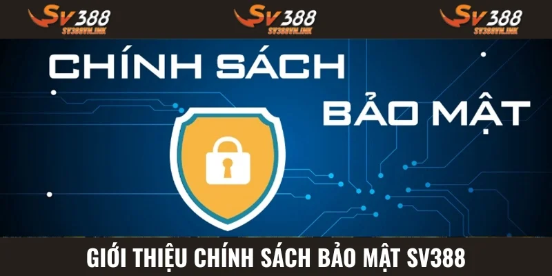 Chính sách bảo mật giúp mọi hoạt động được kiểm soát